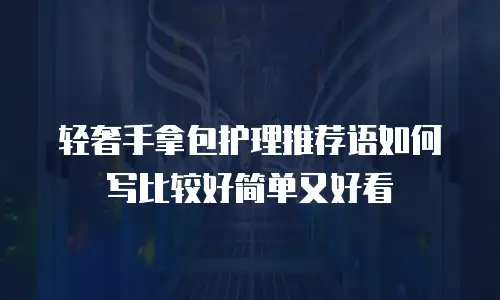 轻奢手拿包护理推荐语如何写比较好简单又好看