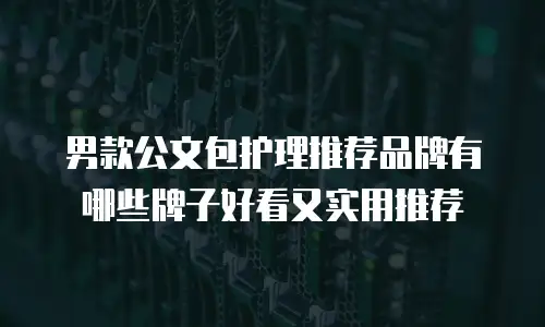 男款公文包护理推荐品牌有哪些牌子好看又实用推荐