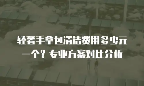 轻奢手拿包清洁费用多少元一个？专业方案对比分析
