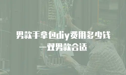 男款手拿包diy费用多少钱一双男款合适