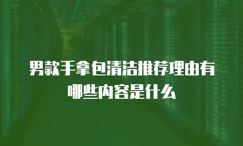 男款手拿包清洁推荐理由有哪些内容是什么