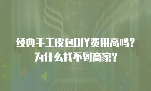 经典手工皮包DIY费用高吗？为什么找不到商家？