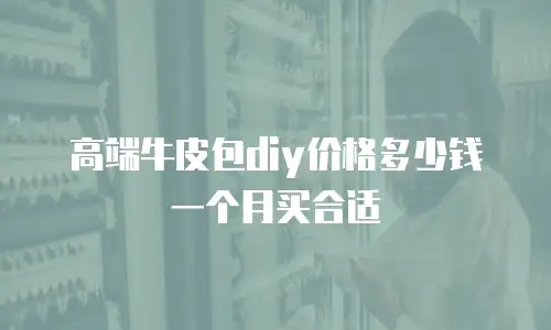 高端牛皮包diy价格多少钱一个月买合适