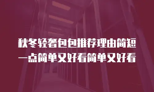 秋冬轻奢包包推荐理由简短一点简单又好看简单又好看