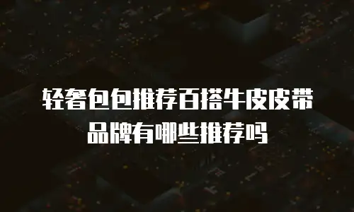 轻奢包包推荐百搭牛皮皮带品牌有哪些推荐吗
