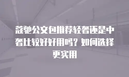 蔻驰公文包推荐轻奢还是中奢比较好好用吗？如何选择更实用
