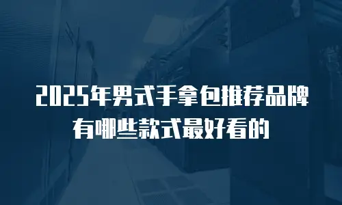 2025年男式手拿包推荐品牌有哪些款式最好看的
