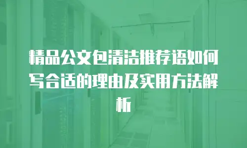 精品公文包清洁推荐语如何写合适的理由及实用方法解析