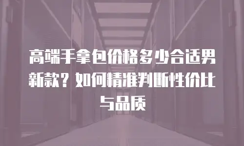 高端手拿包价格多少合适男新款？如何精准判断性价比与品质