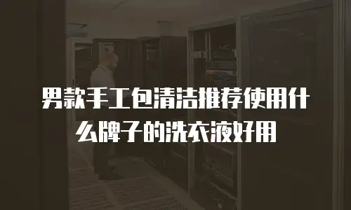 男款手工包清洁推荐使用什么牌子的洗衣液好用