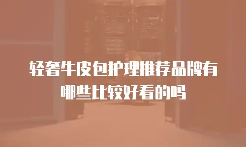 轻奢牛皮包护理推荐品牌有哪些比较好看的吗
