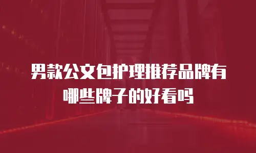 男款公文包护理推荐品牌有哪些牌子的好看吗