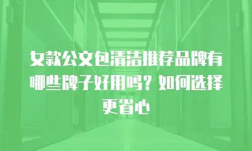 女款公文包清洁推荐品牌有哪些牌子好用吗？如何选择更省心