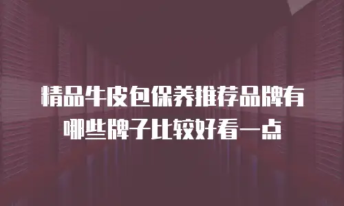 精品牛皮包保养推荐品牌有哪些牌子比较好看一点