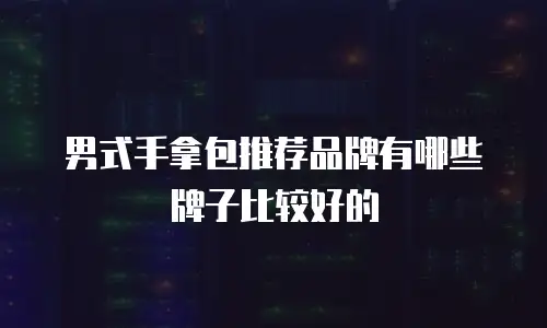 男式手拿包推荐品牌有哪些牌子比较好的