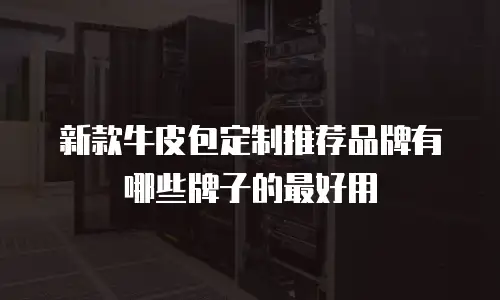 新款牛皮包定制推荐品牌有哪些牌子的最好用