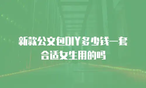 新款公文包DIY多少钱一套合适女生用的吗