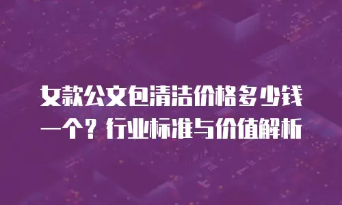女款公文包清洁价格多少钱一个？行业标准与价值解析