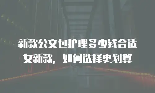 新款公文包护理多少钱合适女新款，如何选择更划算