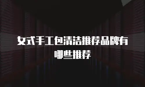 女式手工包清洁推荐品牌有哪些推荐