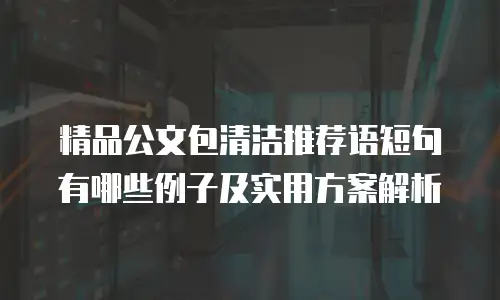 精品公文包清洁推荐语短句有哪些例子及实用方案解析