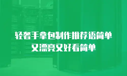 轻奢手拿包制作推荐语简单又漂亮又好看简单