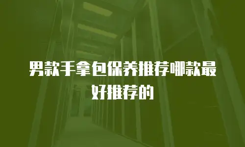 男款手拿包保养推荐哪款最好推荐的
