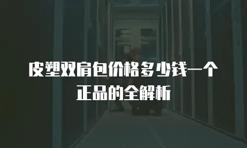 皮塑双肩包价格多少钱一个正品的全解析