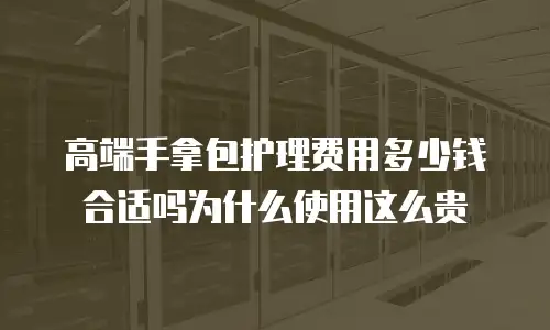 高端手拿包护理费用多少钱合适吗为什么使用这么贵
