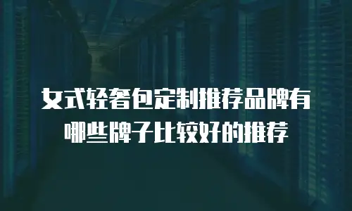 女式轻奢包定制推荐品牌有哪些牌子比较好的推荐