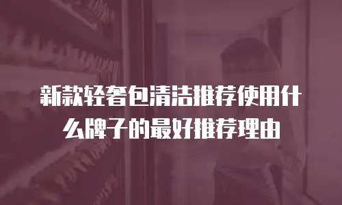 新款轻奢包清洁推荐使用什么牌子的最好推荐理由