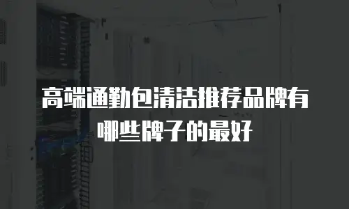 高端通勤包清洁推荐品牌有哪些牌子的最好