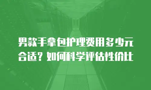 男款手拿包护理费用多少元合适？如何科学评估性价比