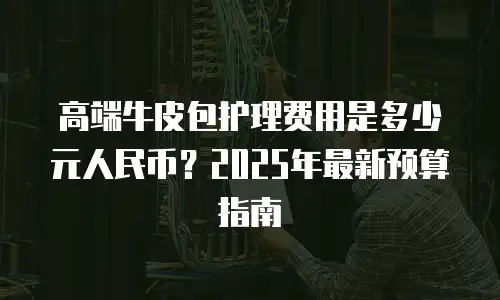 高端牛皮包护理费用是多少元人民币？2025年最新预算指南
