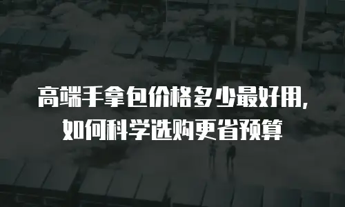 高端手拿包价格多少最好用，如何科学选购更省预算