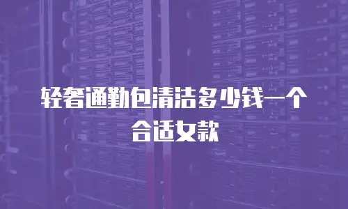 轻奢通勤包清洁多少钱一个合适女款