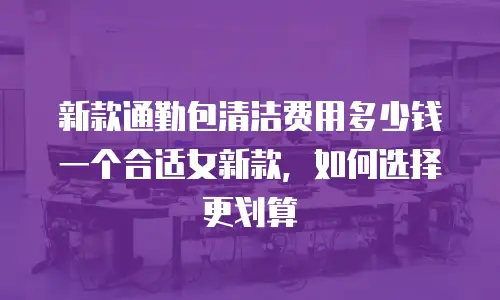 新款通勤包清洁费用多少钱一个合适女新款，如何选择更划算