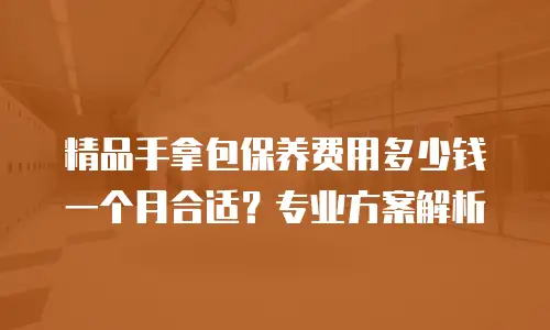 精品手拿包保养费用多少钱一个月合适？专业方案解析