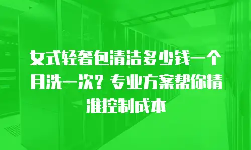 女式轻奢包清洁多少钱一个月洗一次？专业方案帮你精准控制成本