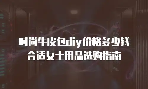 时尚牛皮包diy价格多少钱合适女士用品选购指南