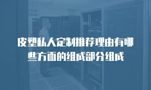 皮塑私人定制推荐理由有哪些方面的组成部分组成