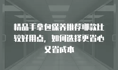 精品手拿包保养推荐哪款比较好用点，如何选择更省心又省成本
