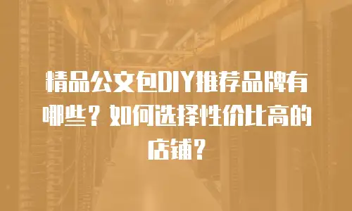 精品公文包DIY推荐品牌有哪些？如何选择性价比高的店铺？