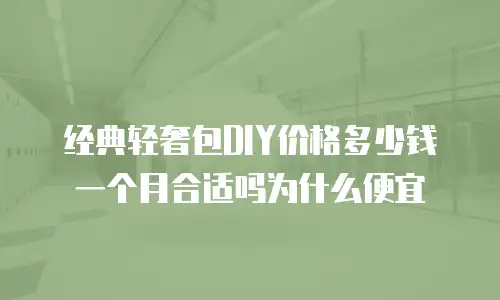 经典轻奢包DIY价格多少钱一个月合适吗为什么便宜