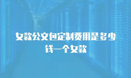 女款公文包定制费用是多少钱一个女款