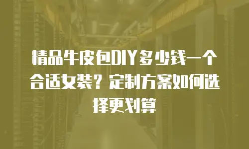 精品牛皮包DIY多少钱一个合适女装？定制方案如何选择更划算