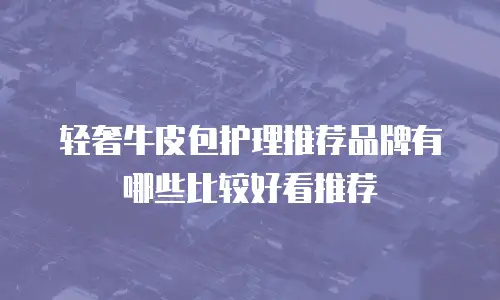 轻奢牛皮包护理推荐品牌有哪些比较好看推荐