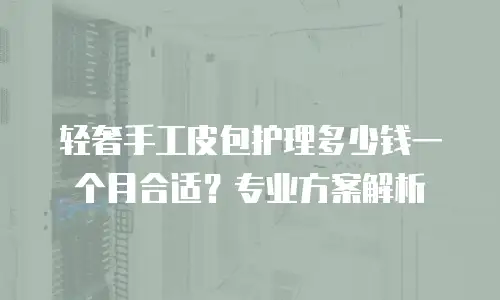 轻奢手工皮包护理多少钱一个月合适？专业方案解析