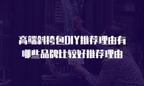 高端斜挎包DIY推荐理由有哪些品牌比较好推荐理由