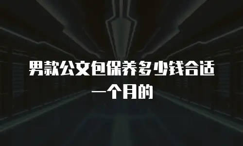 男款公文包保养多少钱合适一个月的